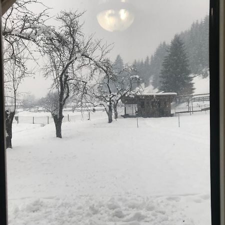 Shelest Vody Hotel Ruska Mokra Exterior photo